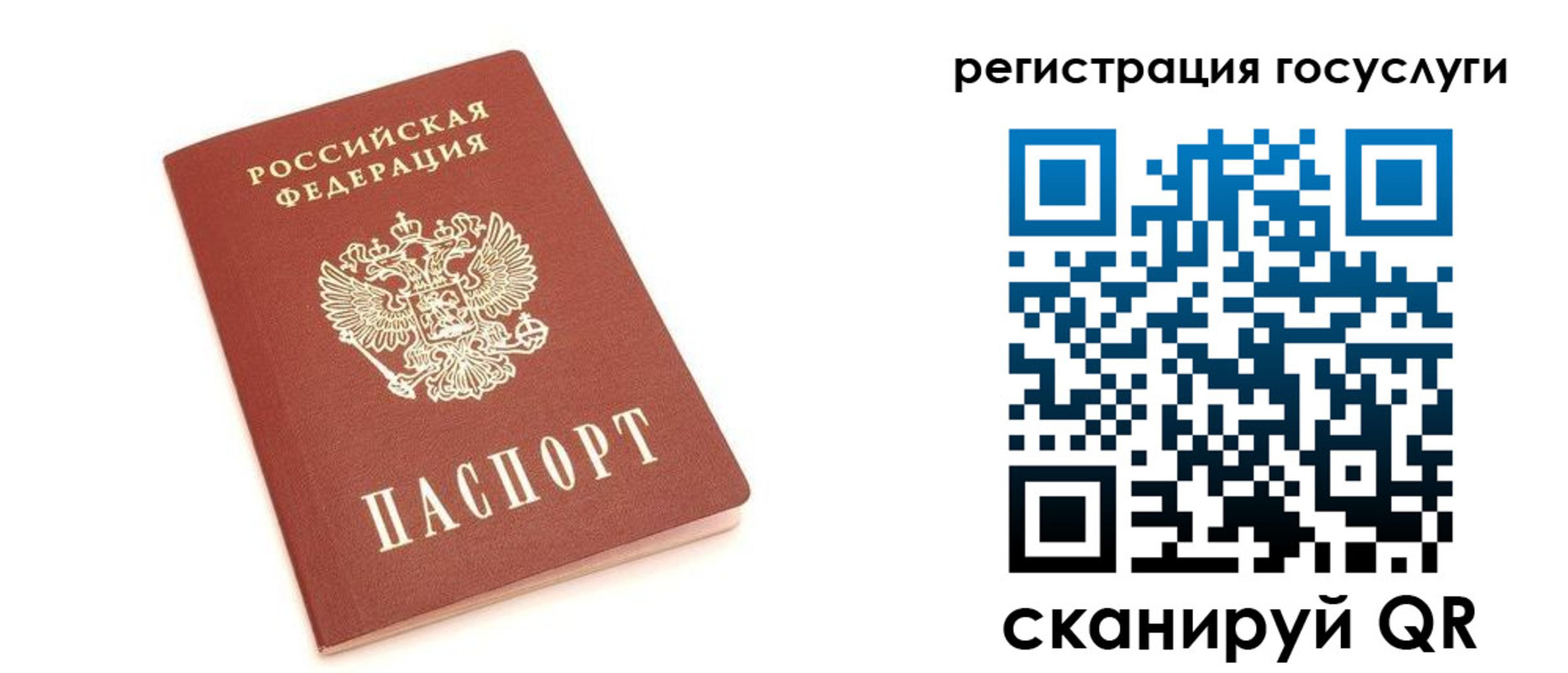 прописка 2025 в Ермолино